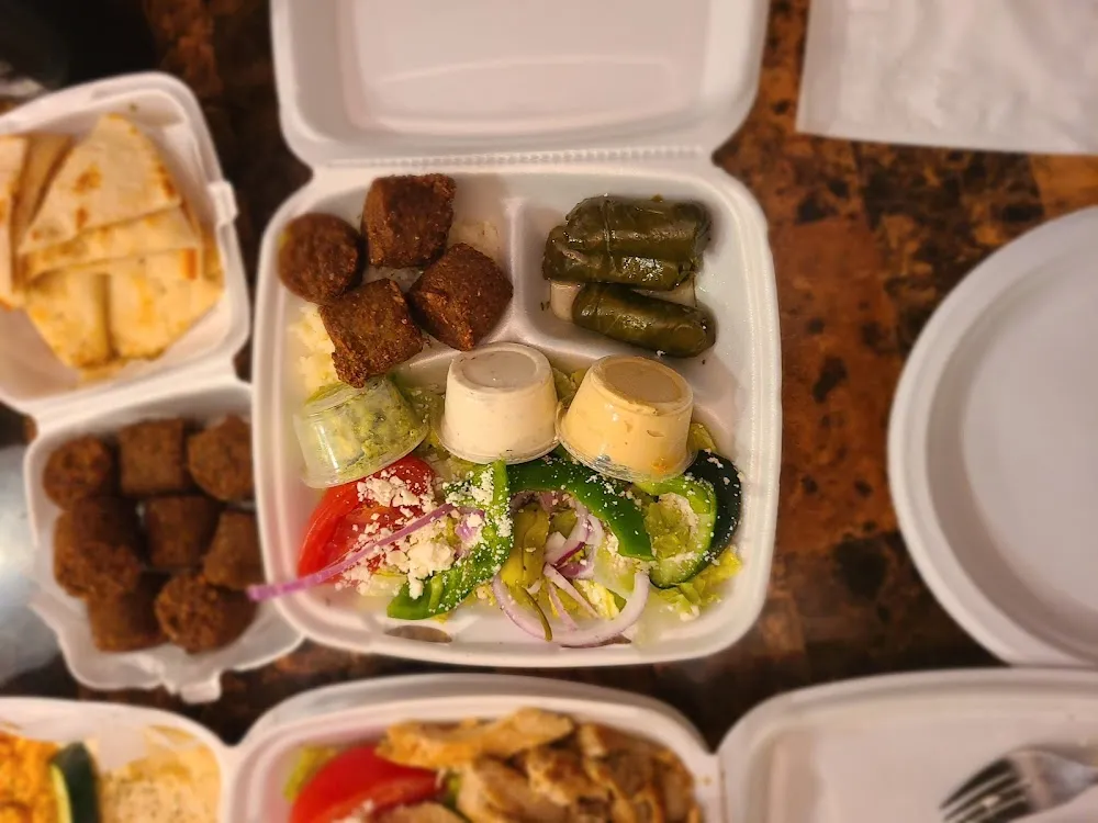 Falafel and Veggie Gyro